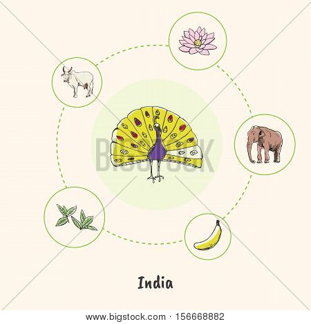 Attractive India. Peacock colorized doodle surrounded lotus flower, elephant, sacred cow, tea leaves, banana hand drawn vector icons. Indian religious, culinary, nature symbols. Travel in Asia concept