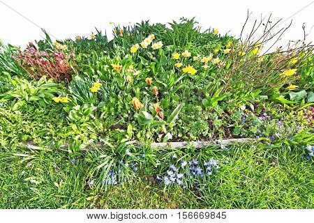 Spring Flowerbed