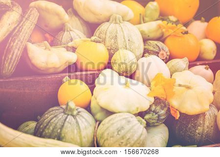 Farmers Market