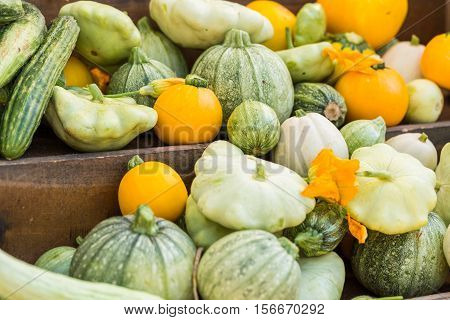 Farmers Market