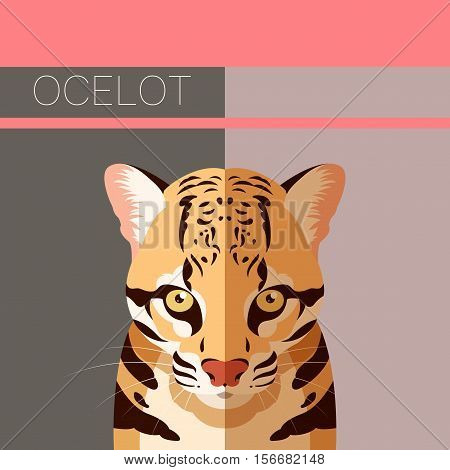 Vector image of the Flat postcard with Ocelot
