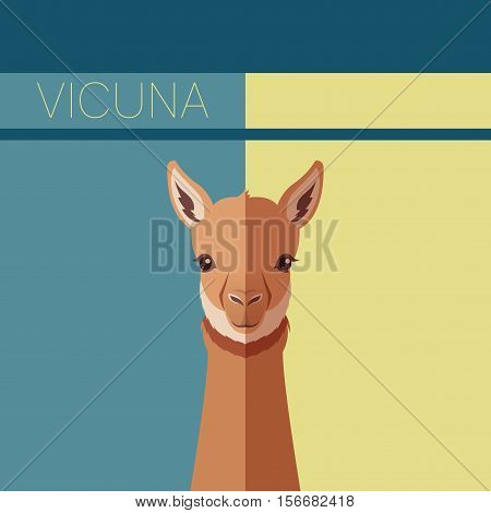Vector image of the Flat postcard with Vicuna