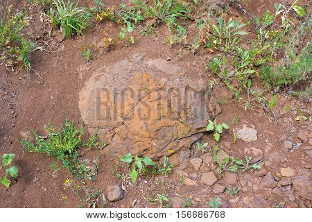Stone Formation Buried In The Ground Reminiscent Of Dinosaur Eggs Have Been Found Near The Village O