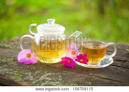 Green Tea In Beautiful Cup