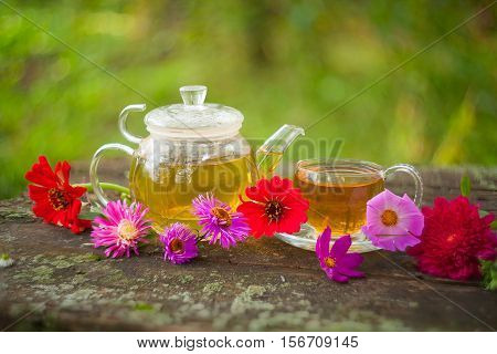 Green Tea In Beautiful Cup