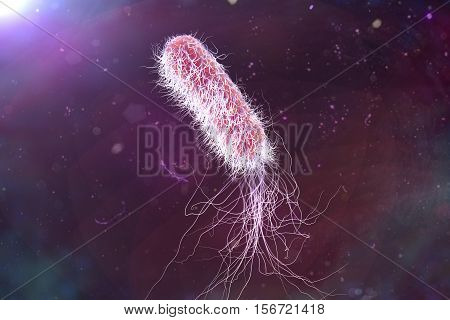 Bacterium Pseudomonas aeruginosa on colorful background, antibiotic-resistant nosocomial bacterium, 3D illustration. Illustration shows polar location of flagella and presence of pili on the bacterial surface