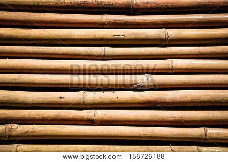 The bamboo for background, The bamboo for backdrop