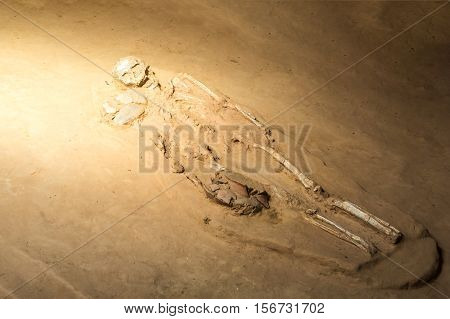 grave burial skeleton human bones. warm tone.
