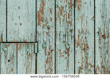 Old wall of wooden planks with metal rivets, covered peeling paint
