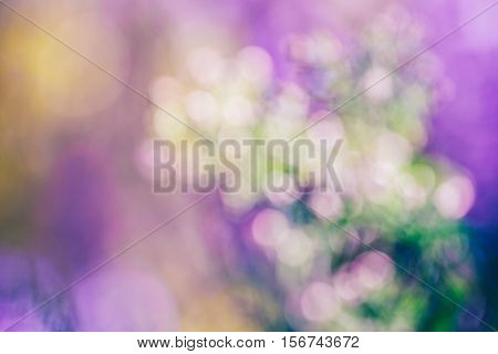Beautiful dreamy magic pink white green abstract colorful blurry background soft selective focus copyspace for text cold colors tone cinematic effect.