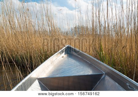 front side of a rowing boat moored in the reed