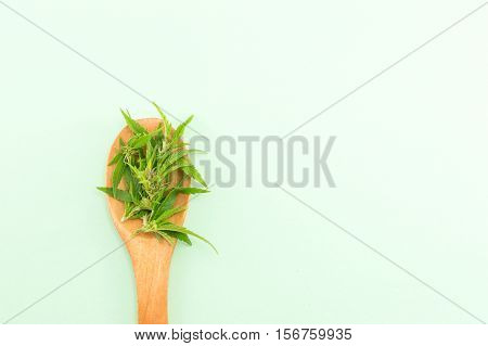 Marijuana Plant In  A Wooden Spoom
