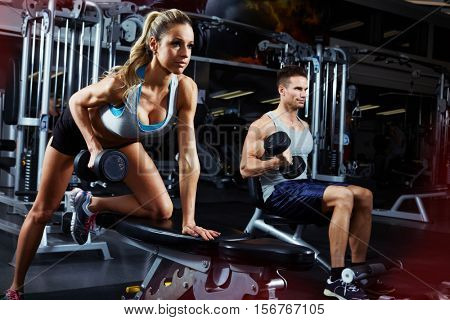 bent over dumbbell workout