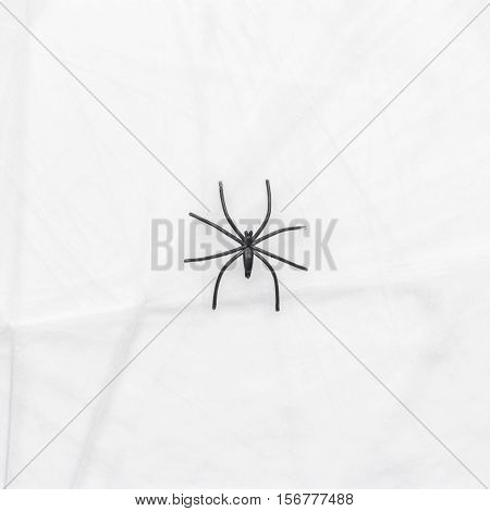 black toy spider on the cobweb over white background
