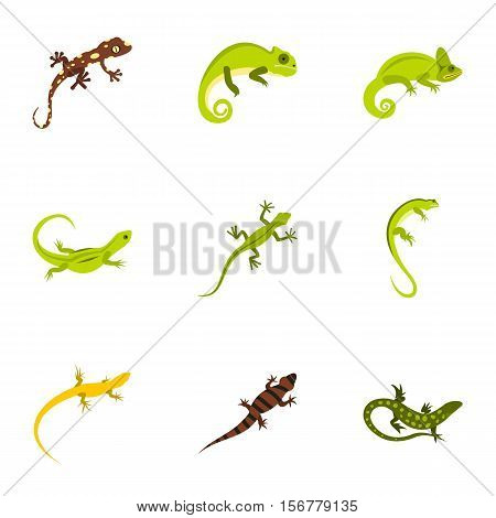 Types of iguana icons set. Flat illustration of 9 types of iguana vector icons for web