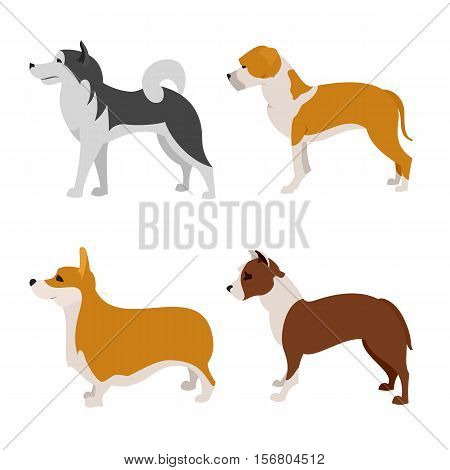 Dogs flat set of pembroke and staffordshire terrier, vector illustration