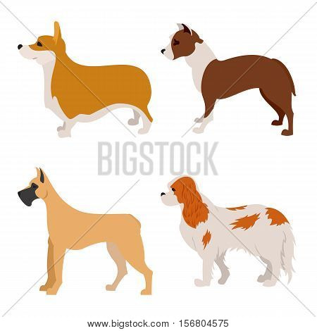 Collection of purebred dogs spaniel and terrier, animal doggy, vector illustration