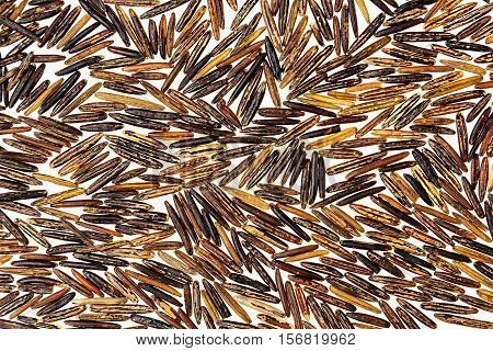 Black rice close-up on white background. Isolated. Pattern of wild brown unpolished rice.