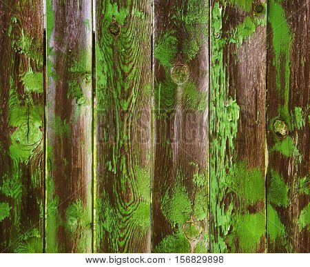 Old rustic painted cracky green wooden texture or background