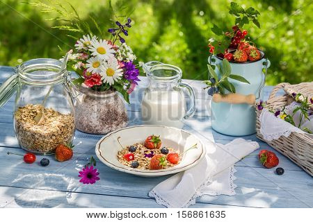 Healthy Breakfast With Fruit And Milk On Old Wooden Table