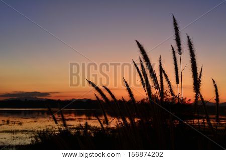 Landscape style silhouette shadow in the sunset.