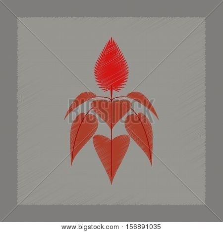 flat shading style illustration of herb amaranthus