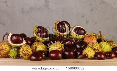 Set of beautiful chestnut trees for decorative applications.