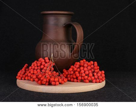 The berries are red ash for use as a decorative still-life.