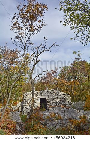 A World War One bunker in the Carso karst limestone area of Friuli Venezia Giulia near Aurisina Italy. The area was a major theatre of battle during the war and many remnants still remain today.