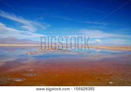 Panoramic view of the Laguna Chaxa a lagoon with flamingos in the National reserve Los Flamencos close to San Pedro de Atacama in the Atacama desert in Chile South America