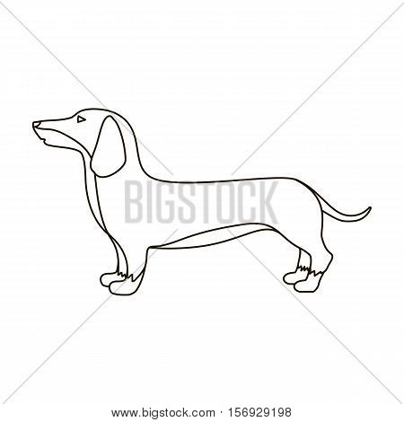 Dachshund icon in outline style isolated on white background. Dog breeds symbol vector illustration.