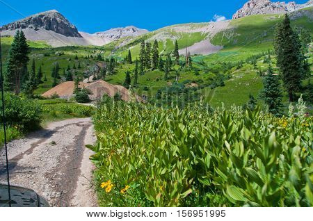 Chicago Basin Summer Mountain Landscape high in the Colorado Rocky Mountains Near Telluride , Colorado