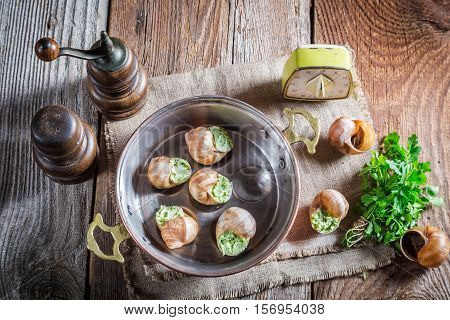 Homemade Snails With Garlic Butter And Hebrs