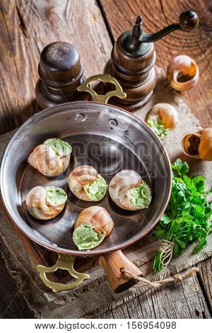 Delicious Snails With Garlic Butter And Hebrs
