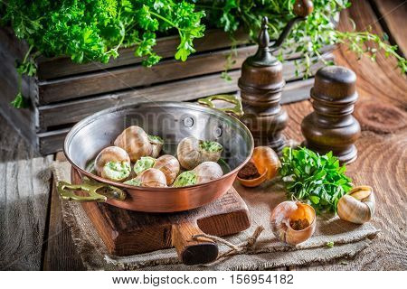 Fresh Snails With Hebrs And Garlic Butter
