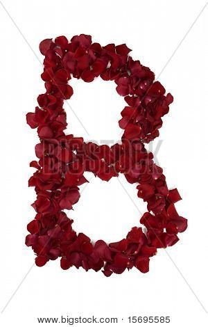 Pétales de rose rouges formant chaque lettre de l'alphabet - Voir le portfolio pour les autres lettres