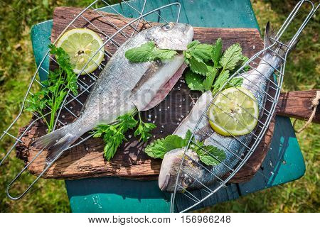 Grilling Fresh Fish With Herbs And Lemon
