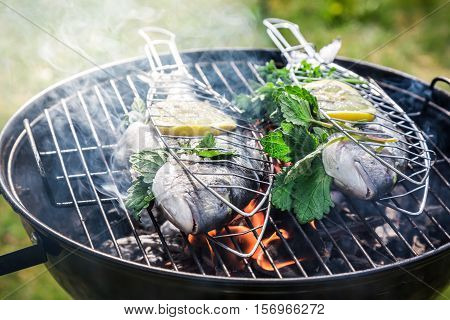 Grilling Fresh Fish With Lemon And Herbs