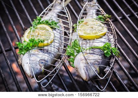 Tasty Fish With Lemon And Herbs For Grilling