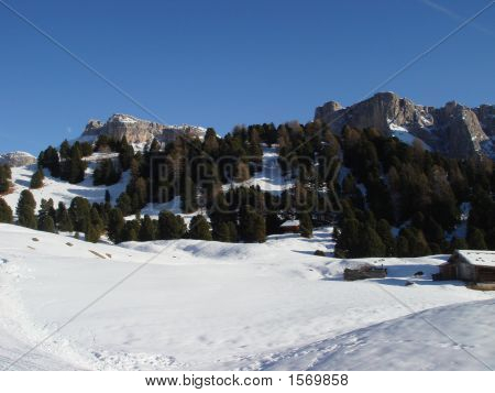 Schnee Bergwald
