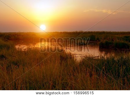 The endless prairie the evening sunset a golden.