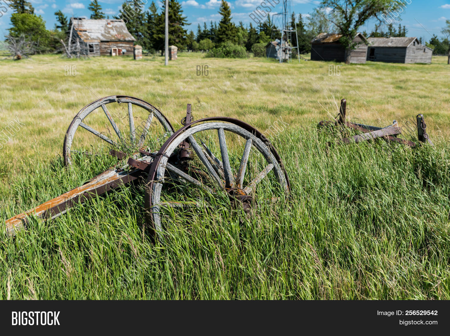 Old Wagon Wheels Image & Photo (Free Trial) | Bigstock