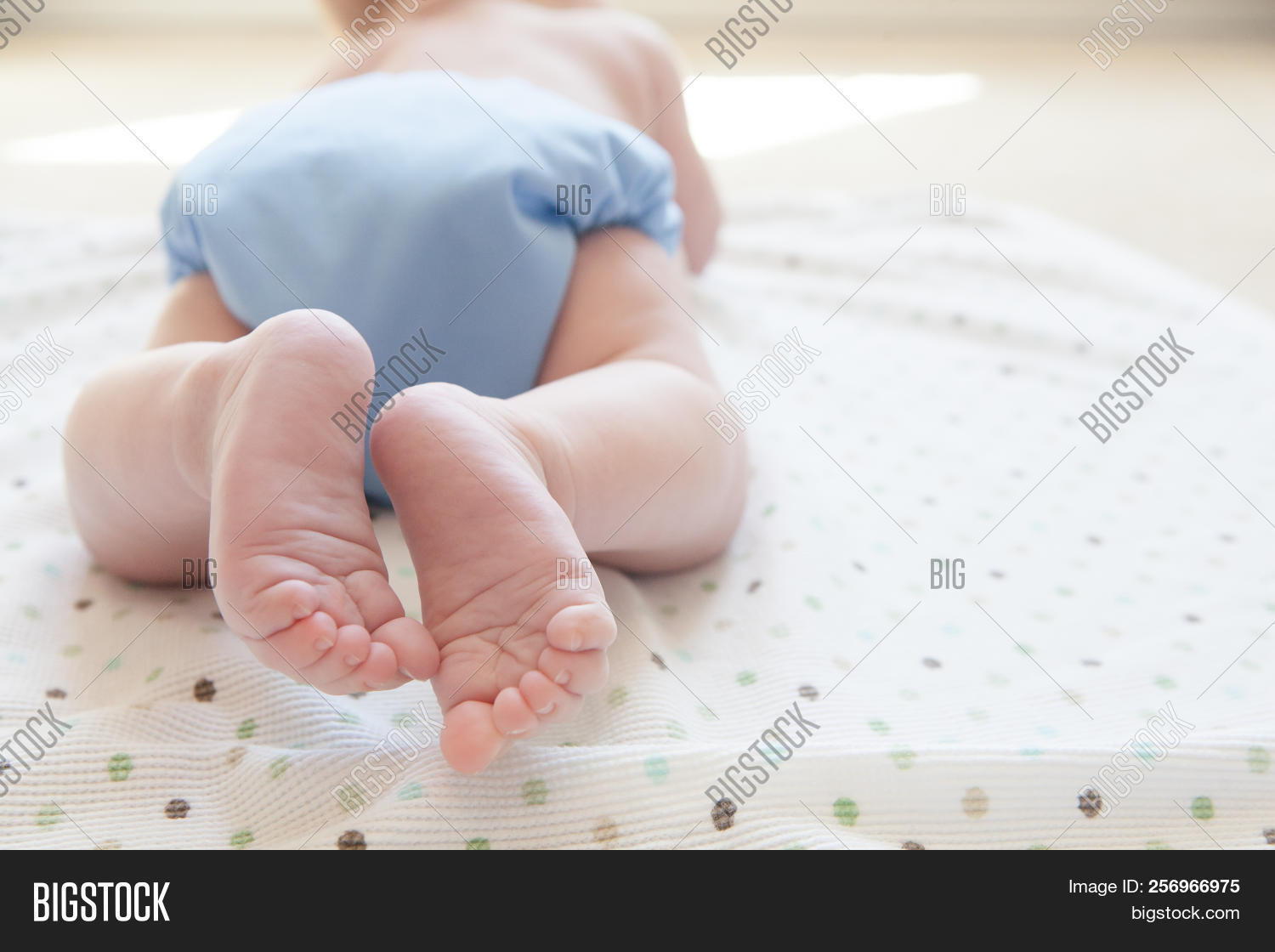 Cute Baby Feet Newborn Image Photo Free Trial Bigstock