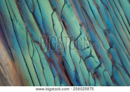 Frozen Beer Under A Microscope, White Wheat Beer.