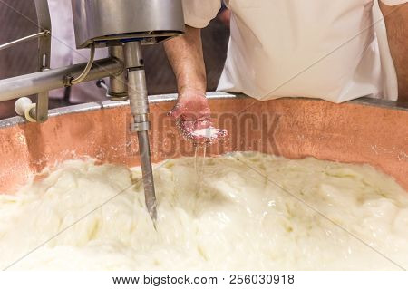 Parmesan Cheese Prduction Process In Bologna Italy