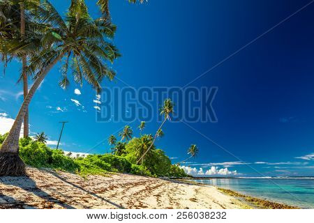 Beach with coral reef on south side of Upolu framed by palm leaves, Samoa Islands