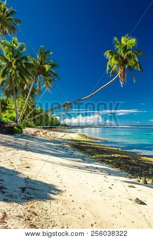 Beach with coral reef on south side of Upolu framed by palm leaves, Samoa Islands