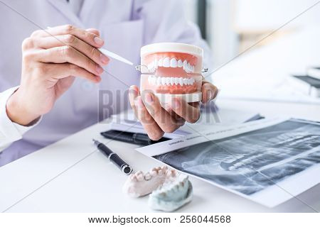 Dentist Hand Holding Of Jaw Model Of Teeth And Cleaning Dental With Dental Tool.