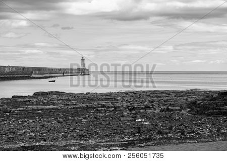 Beautiful Landscape Around Tynemouth Pier And Lighthouse, Tynemouth, Uk In Black And White