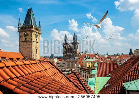 Gulls Over Prague Chimes And Tynsky Cathedral At Summer Day